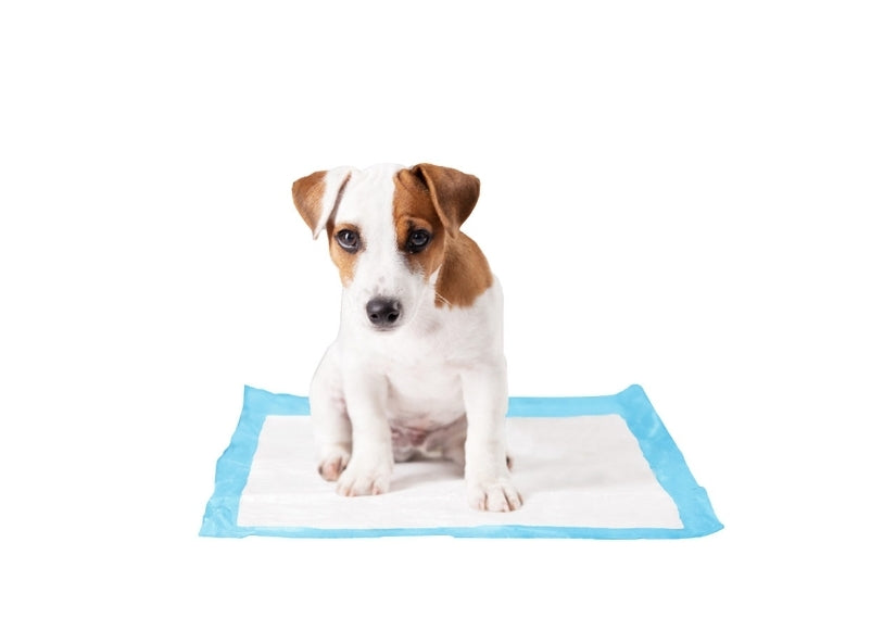 P-Pad XXL 7 Stuks 60x90 cm - Duvo+