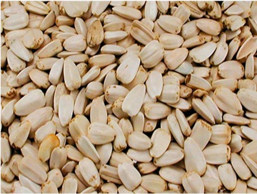 Versele Laga - Witte Zonnebloem Pitten 12,5 kg