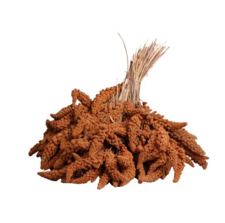 Trosgierst Rood Frankrijk Doos 25kg