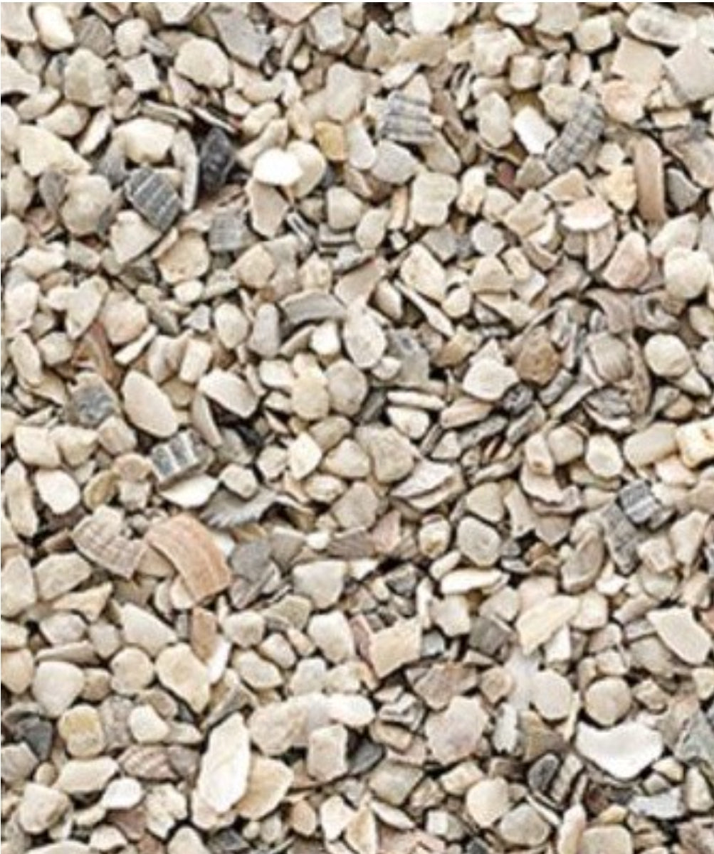 Versele Laga - Oesterschelpen n° 3 Grof 25kg