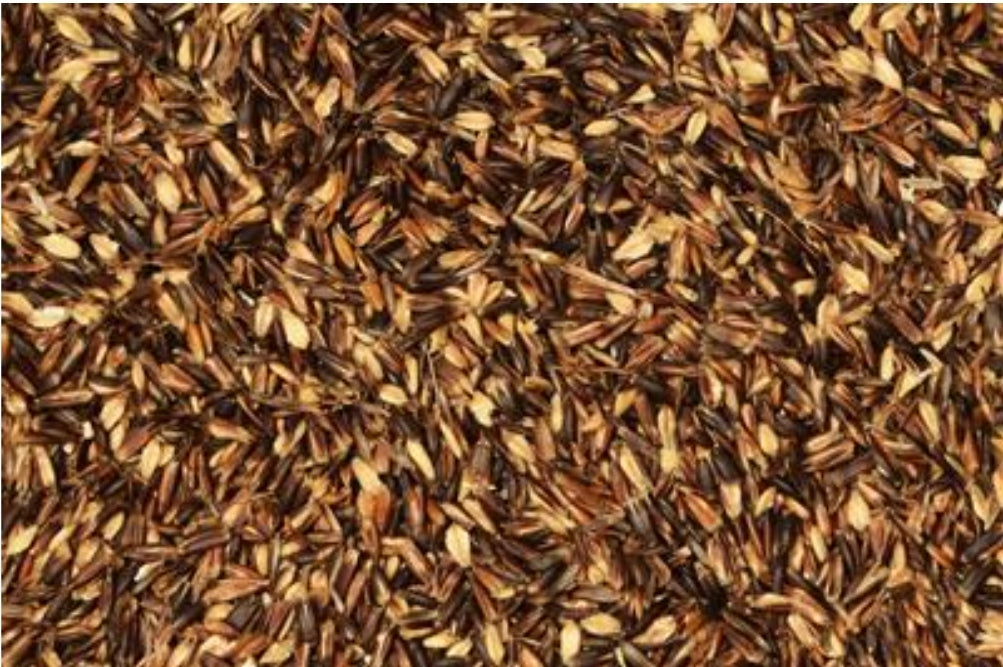 Haver Zwart 25kg - Versele Laga