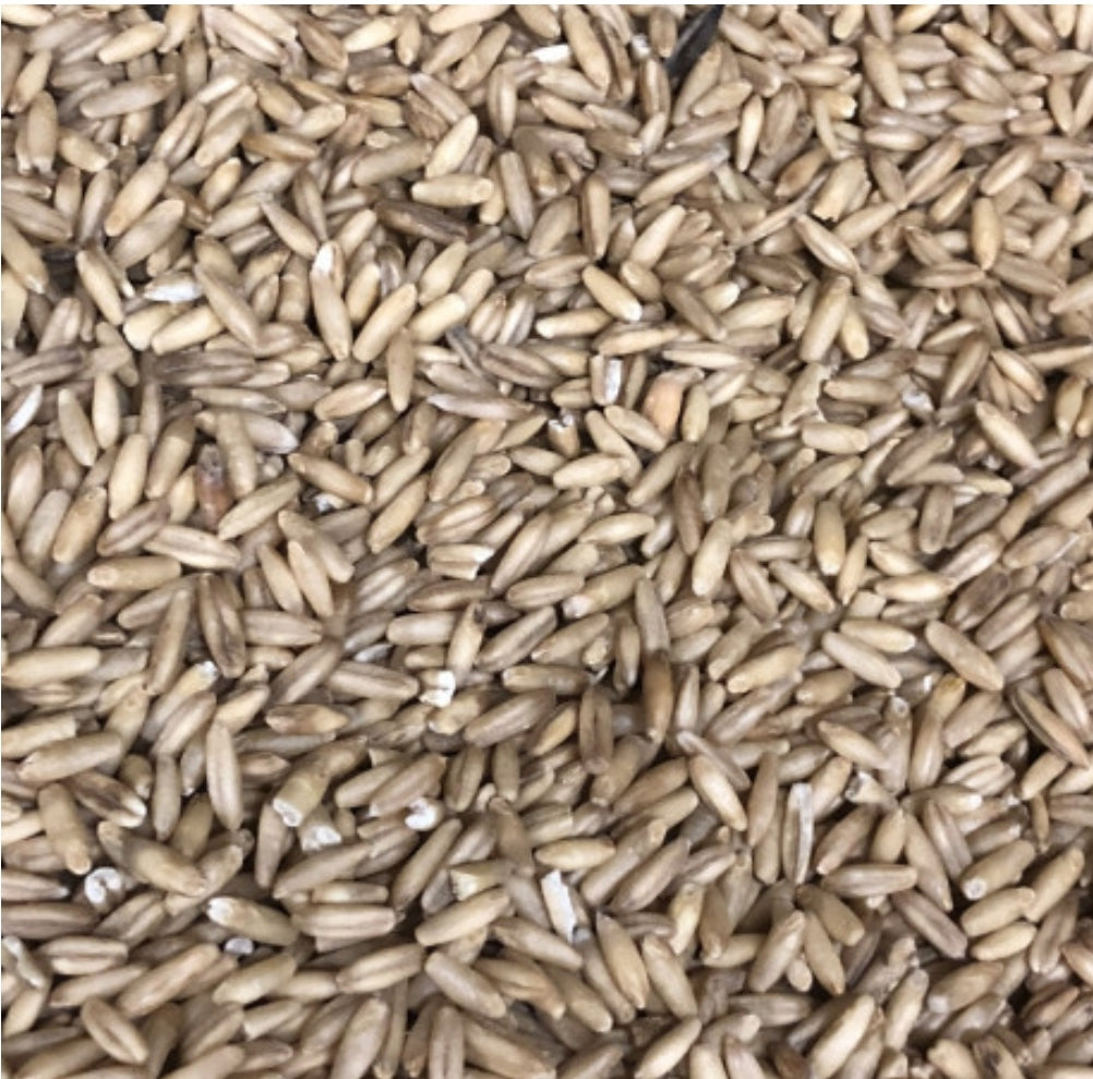 Gepelde Haver 25kg - Versele Laga