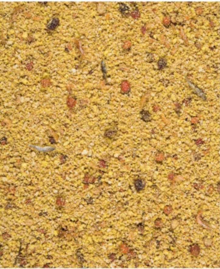 Nutribird Gold Patee Grote Parkieten & Papegaaien 5kg (Orlux gebruiksklaar eivoer grote parkieten & papegaaien)