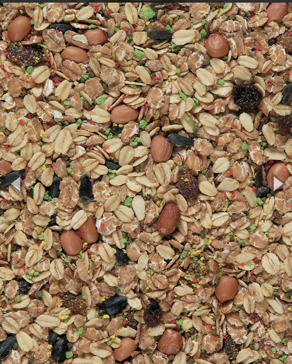 FROST NIGHTS BLEND 2,5kg - Versele Laga