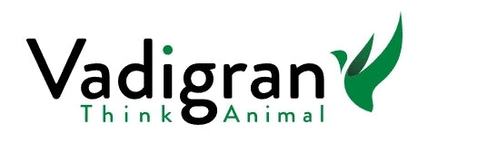 VADIGRAN KANARIES BASIC 20 KG