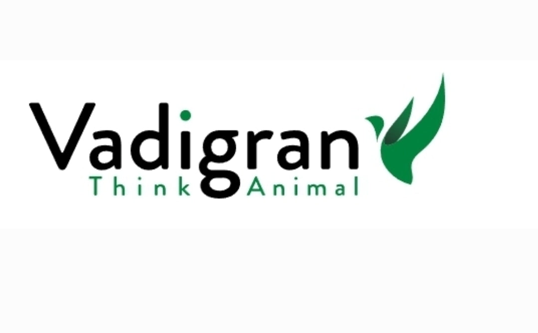 Vogelkooi Primo 60 Zwart 80x50x115cm