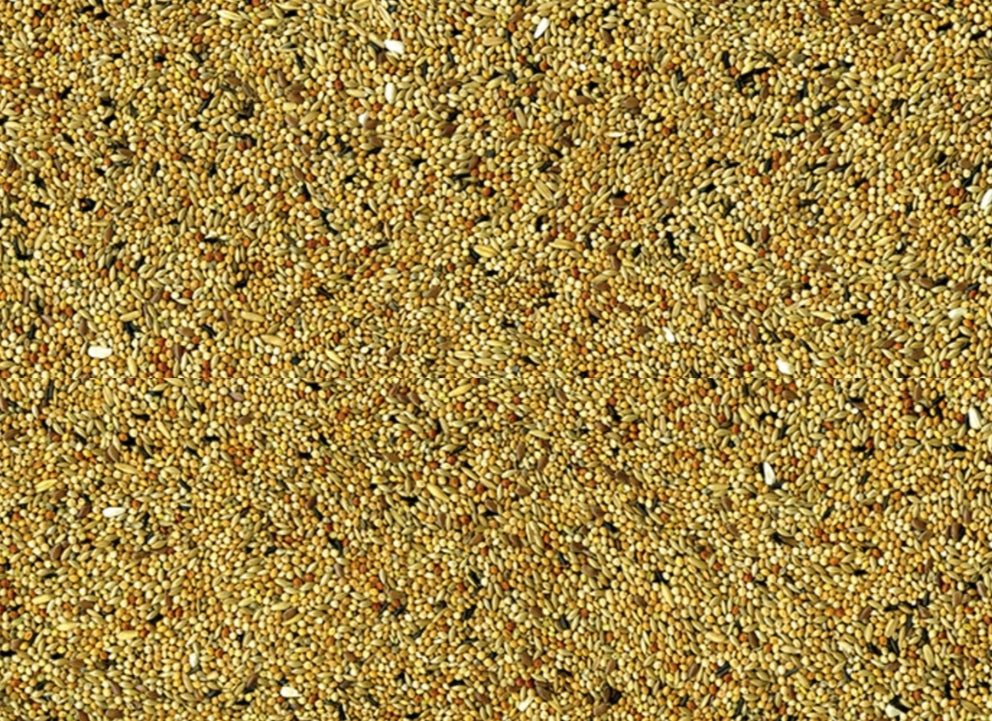 Vadigran Parkieten 4kg