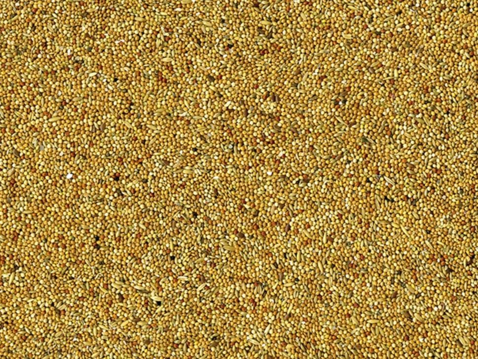 Vadigran Parkieten Basis 20kg