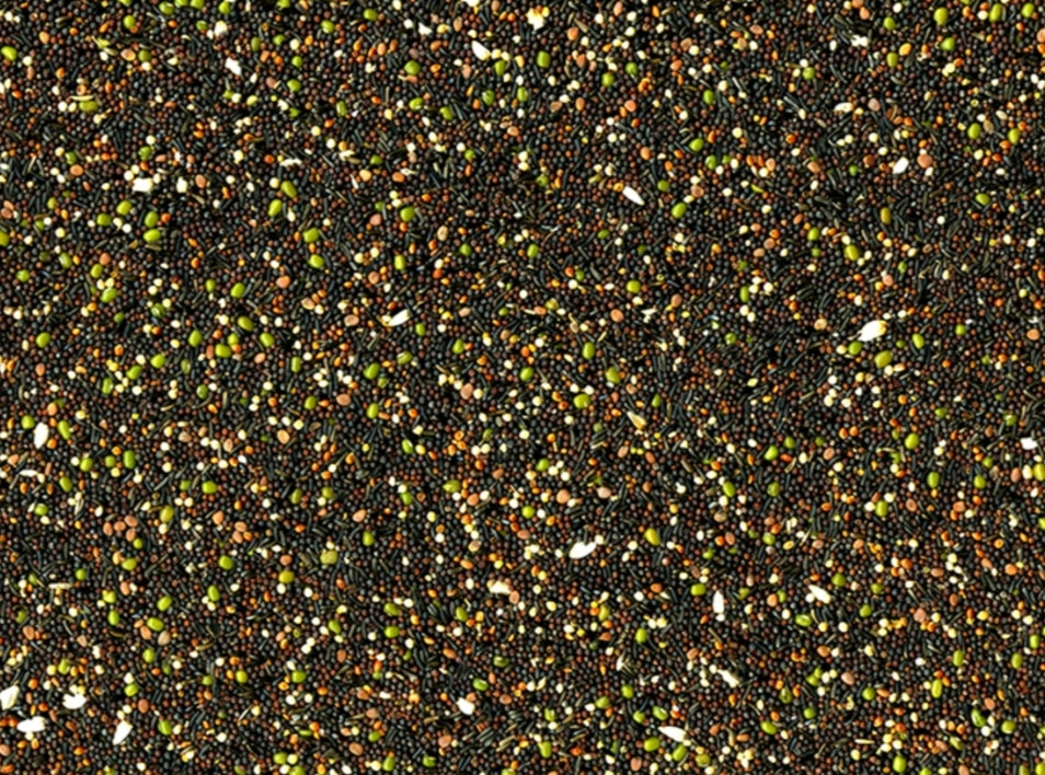 Vadigran - Kiemzaad 1kg