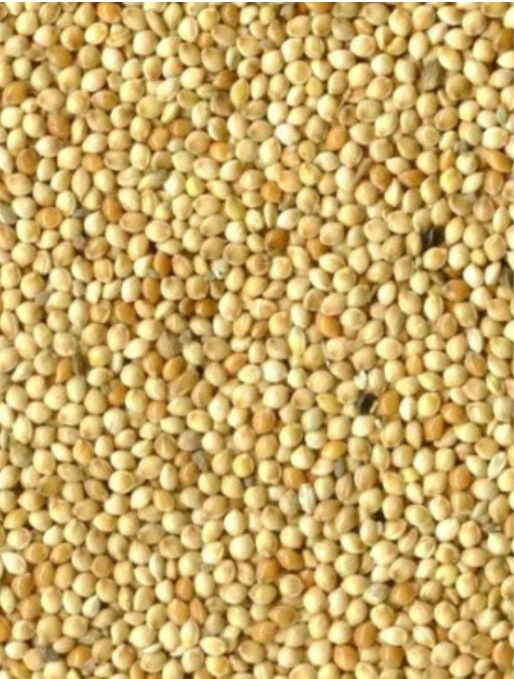 Rondzaad Wit ( millet ) 1kg