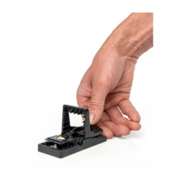 Edialux Muizenval 2 stuks