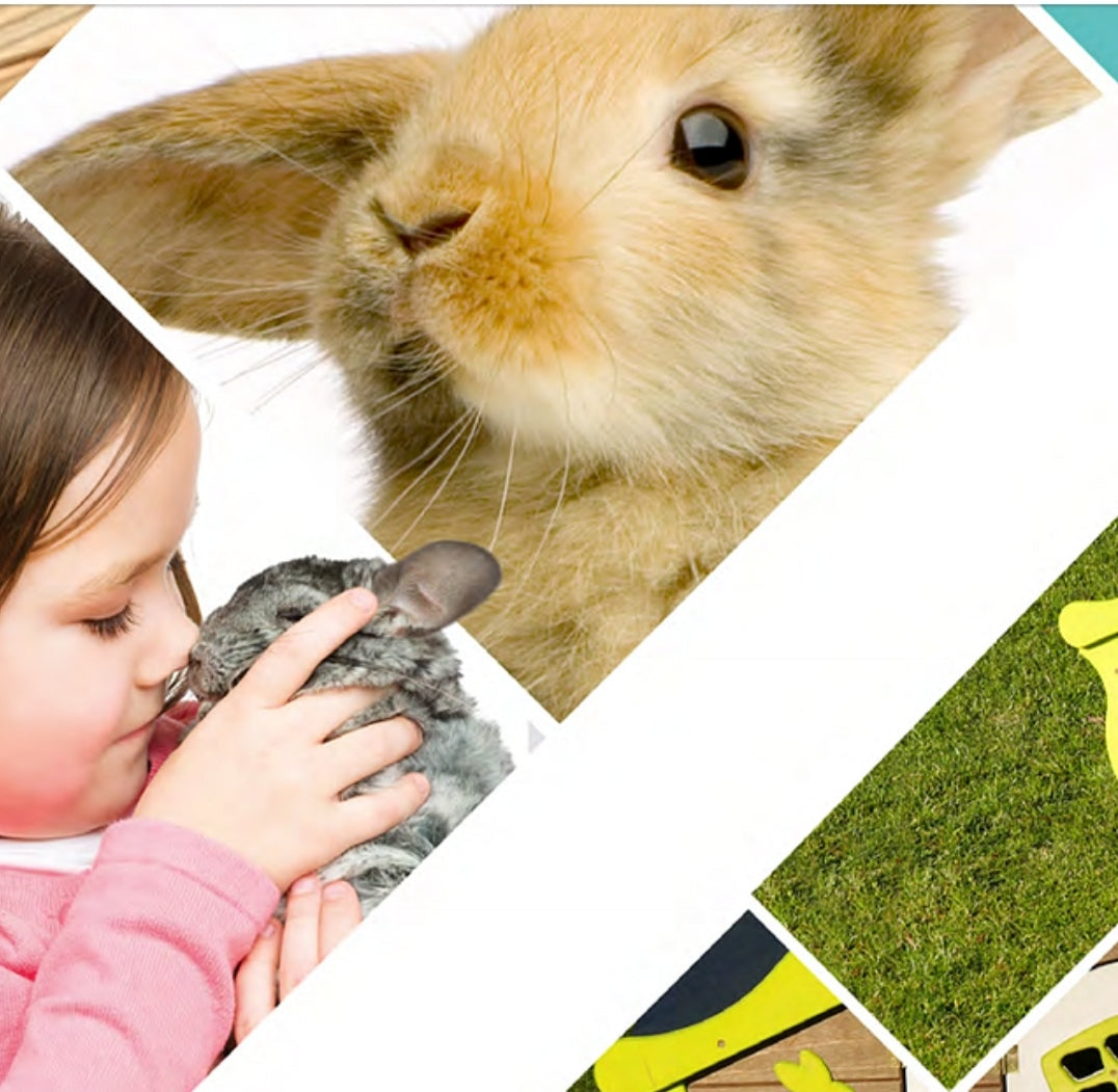 Kippenhok Happy Bunny