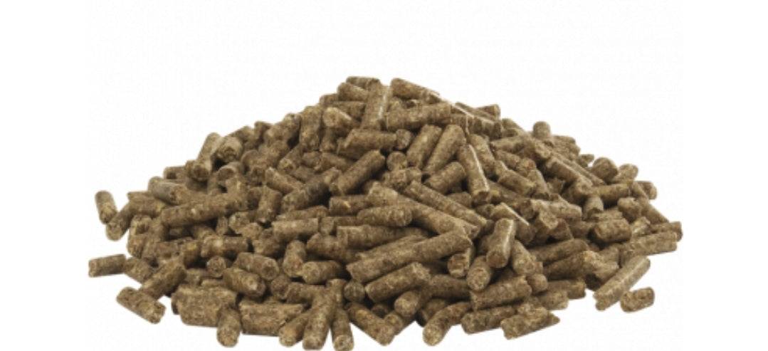 Country's Best AUSTRU 4 Pellet 20kg - Pellet (5mm) Voor Leg- En Opfokloopvogels Vanaf 7e Maand