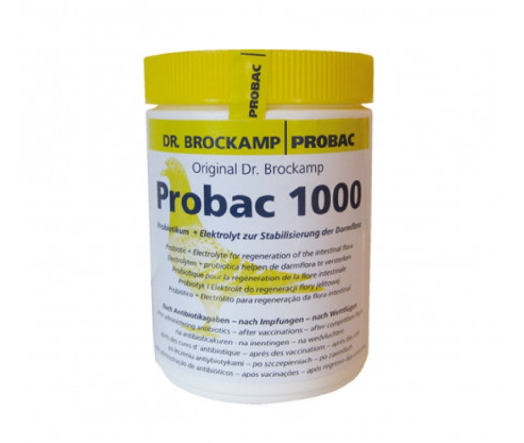 Probac 1000 ( Darmbalans ) - Dr Brockamp