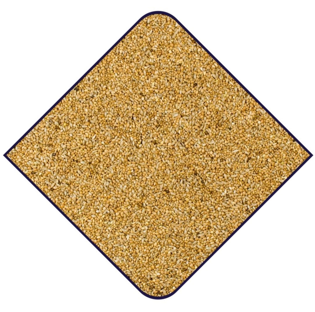 EXPERT Base Zebravinken II Kweker