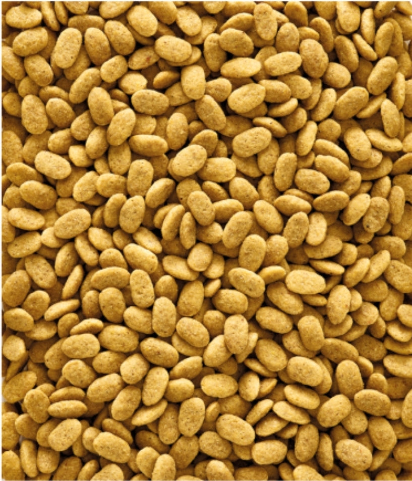 Nutribird P15 original 1kg - Geëxtrudeerde korrels - Onderhoudsvoer voor papegaaien