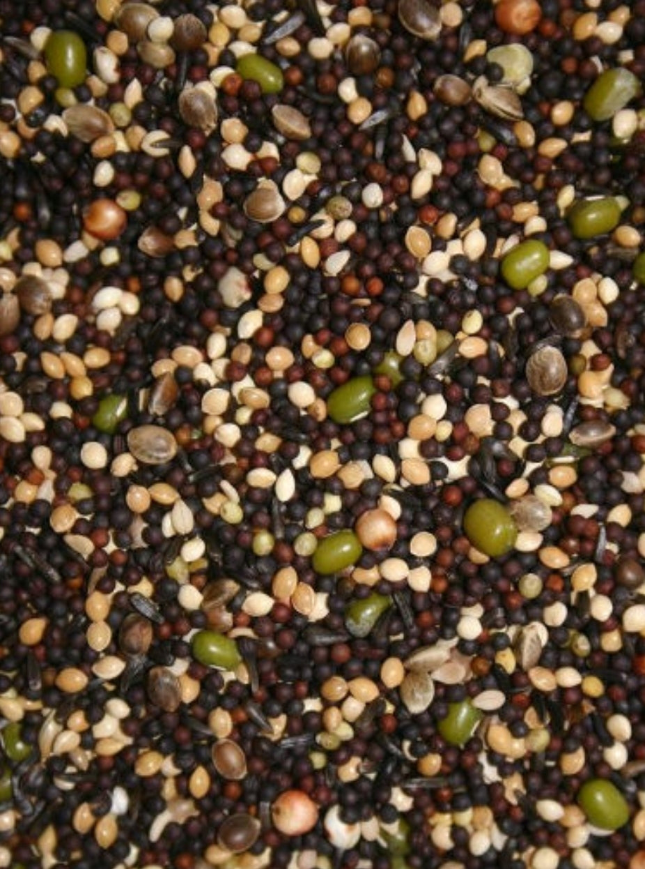 Kiemzaad 1kg - Kanaries & Vinken