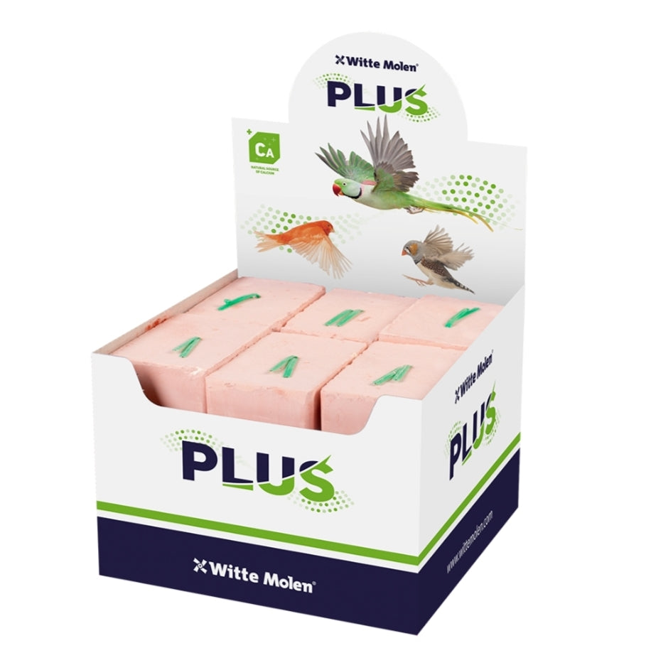 PLUS Energy block medium rood