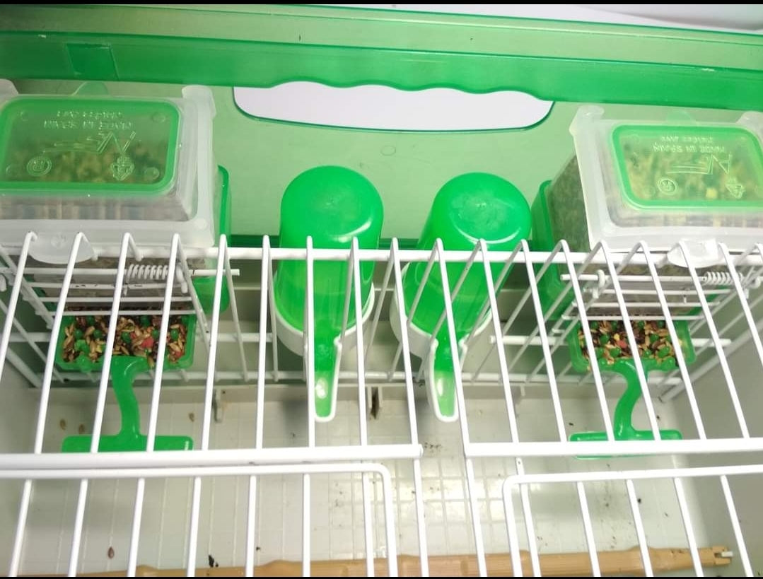 Voerbak Carla "Anti-Verspilling" GROEN 125gram