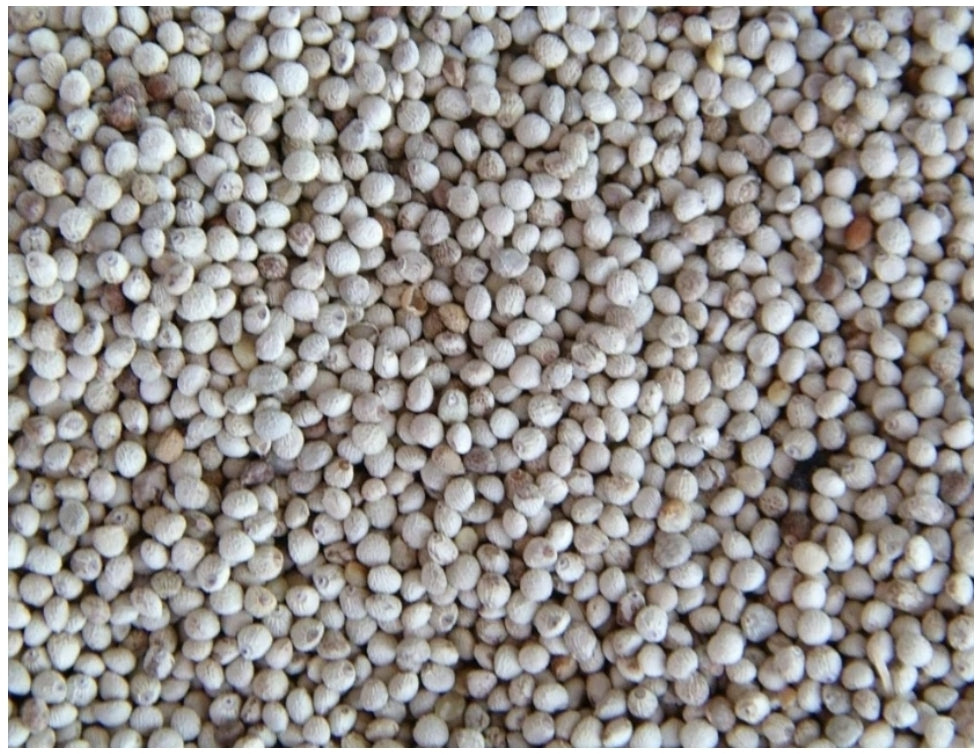 Perilla Wit 500 gram