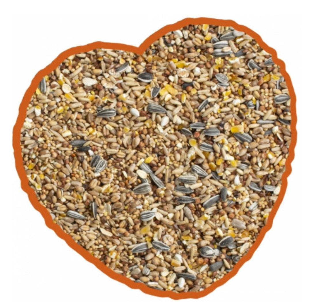 Tuinvogel Mix 4 Seizoenen 20kg Duvo+