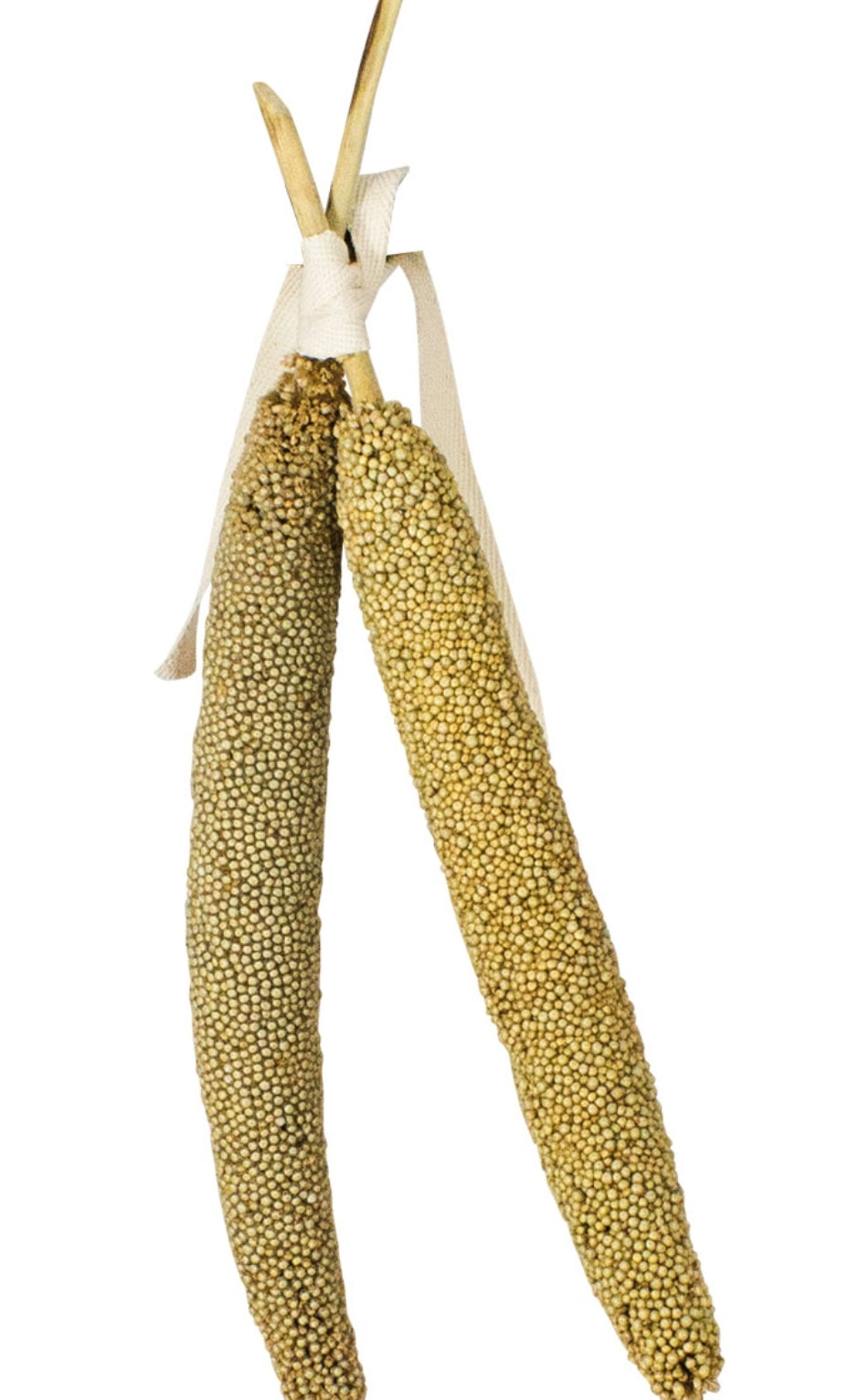 Trossen Parels 40gram Jr Farm