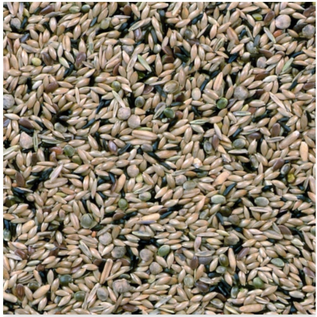 Postuur Kanarie Mix 20kg Duvo+