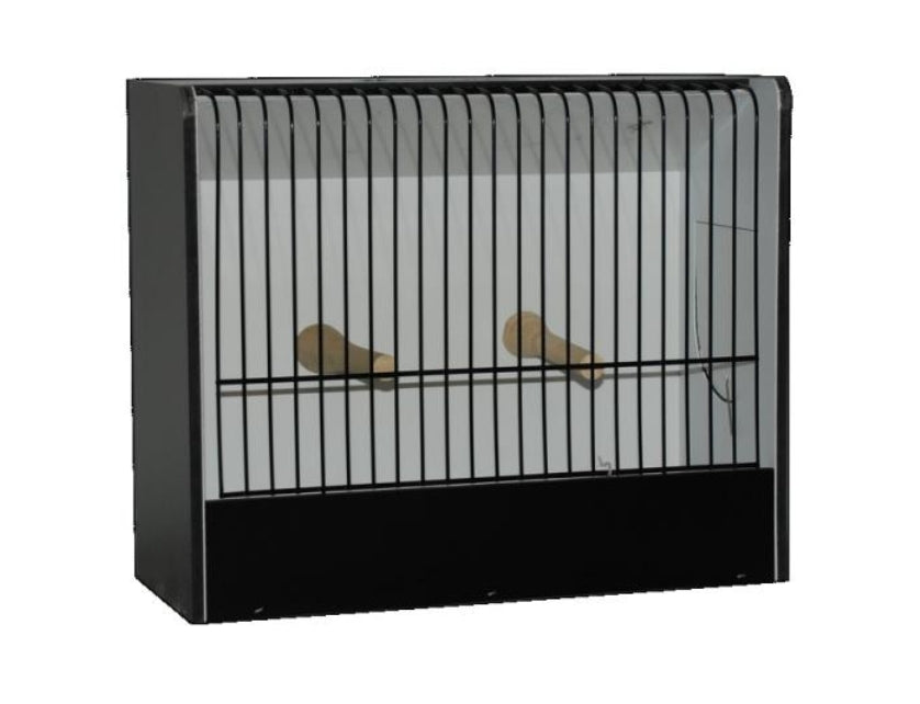 TT Kooi Zwart Kanarie