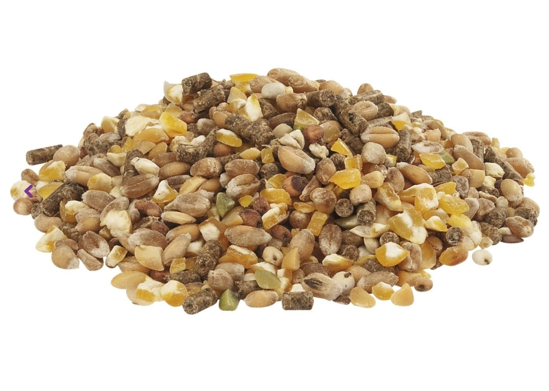 Country`s Best Gold 4 Mix Kip Graan Met Legkorrel 5 kg Standaard - Versele Laga