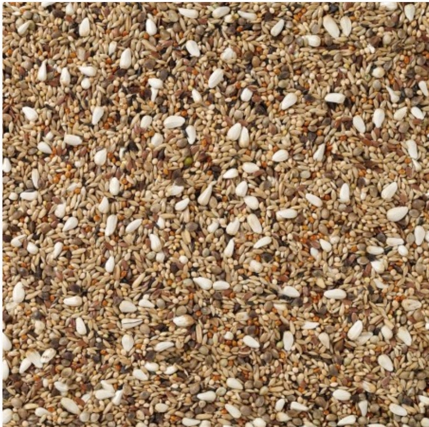 Deli Nature 72 Agapornis Champion 20kg