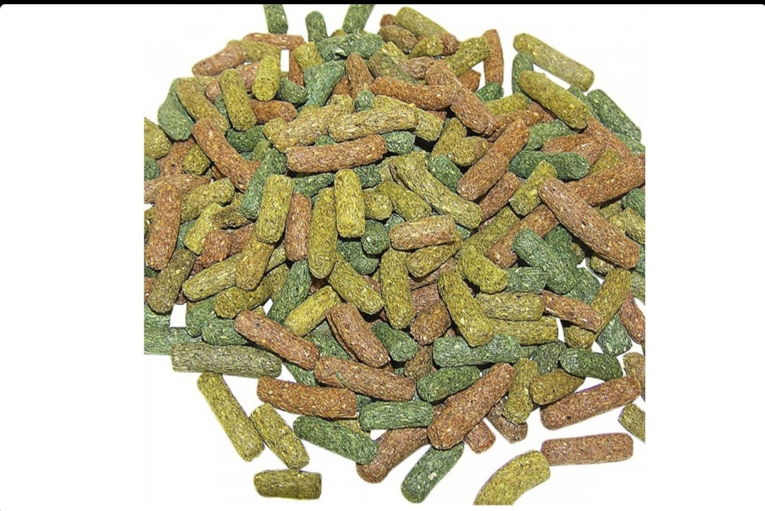 Reptilix Landschildpad Korrels 1 kg - Versele Laga