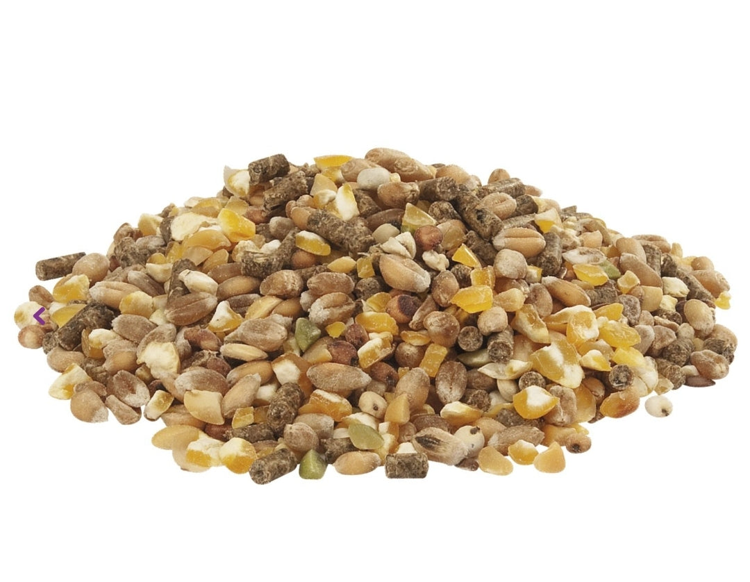 Country`s Best Gold 4 Mix Kip-Graan Met Legkorrel 20kg