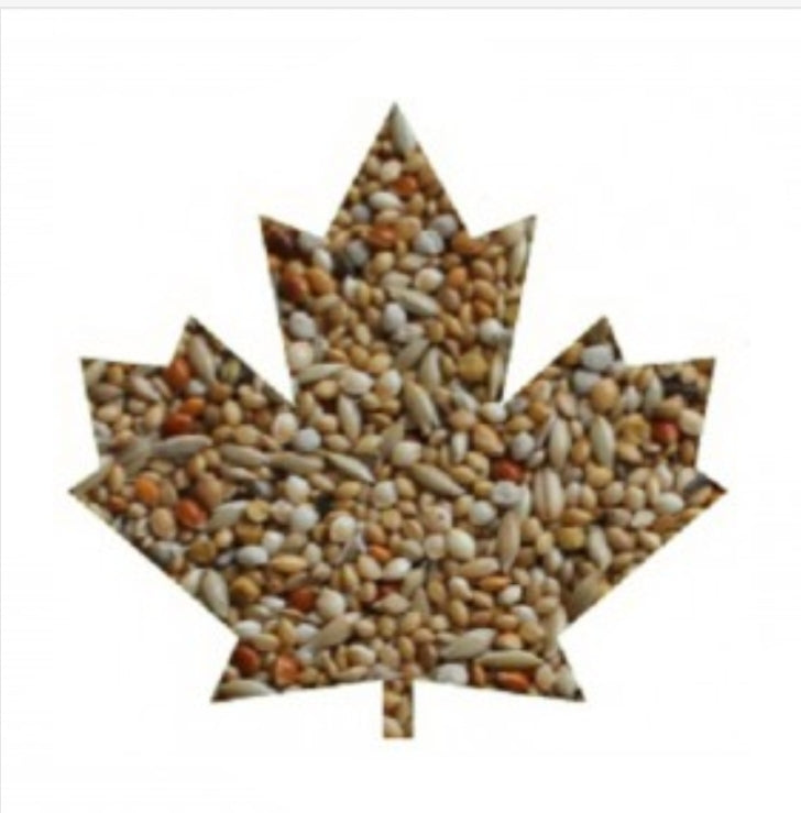 Manitoba Exotic extra fancy - Australische prachtvinken -.Witte Perilla - 20kg
