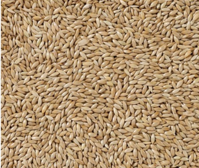 Deli Nature 86 - Extra Kanarie Witzaad 20kg