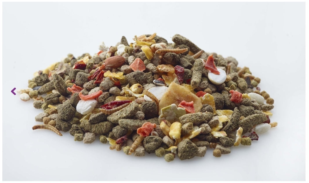 Nature Gerbil - Gerbilvoer - 700 gram - Versele Laga