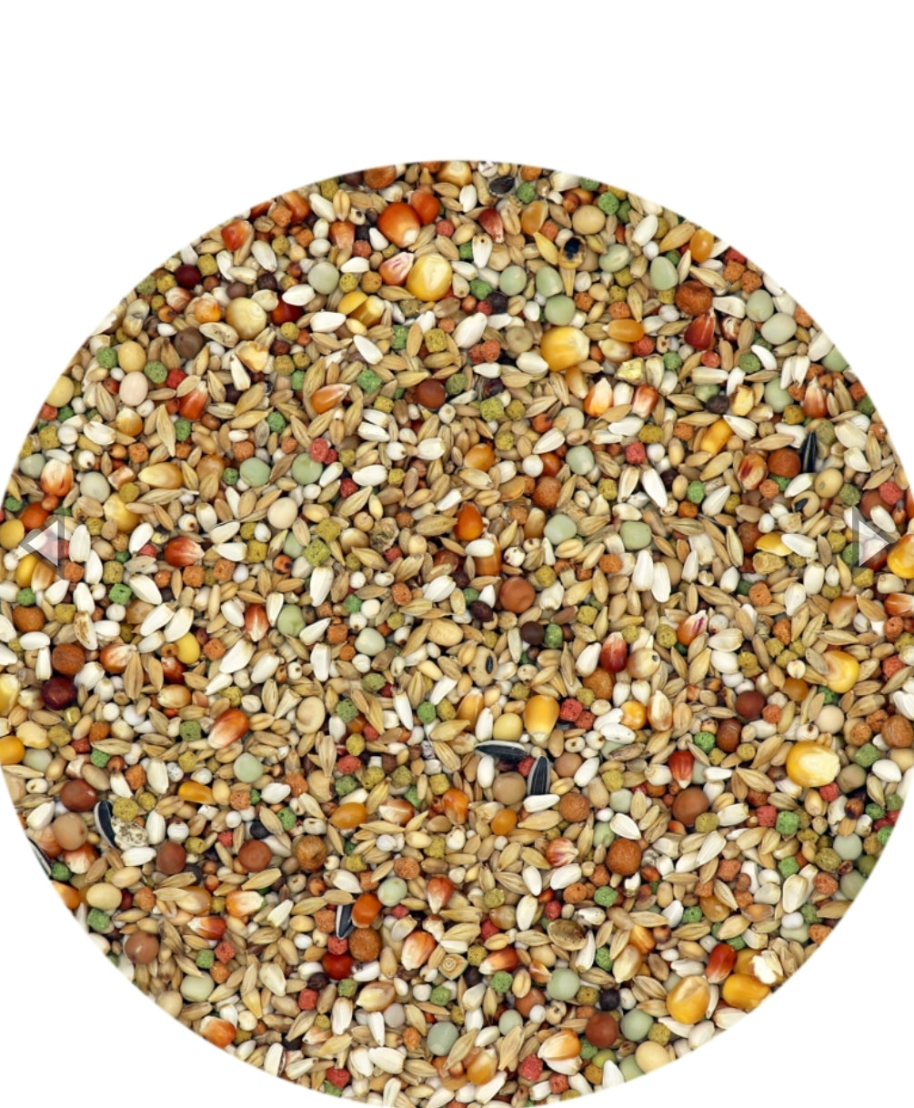 Plus I.C.+ Junior Jonge Duiven 20kg - Duivenvoer - 20 kg - Versele Laga