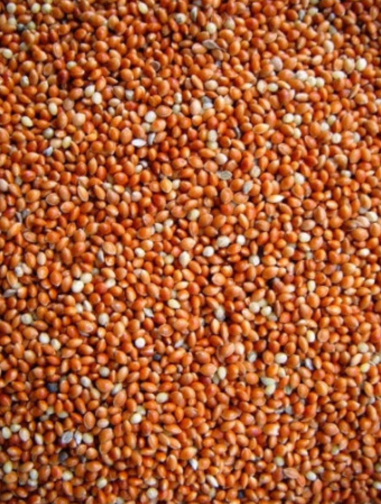 Rondzaad Rood ( millet ) 5kg