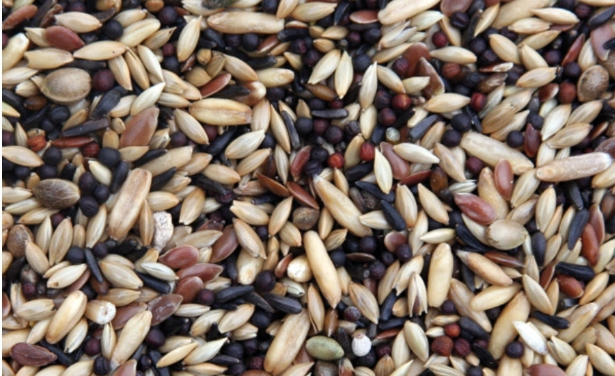 Prestige Kanaries Super Kweek 20kg - Mengeling Van Kwaliteitszaden Voor De Kweek