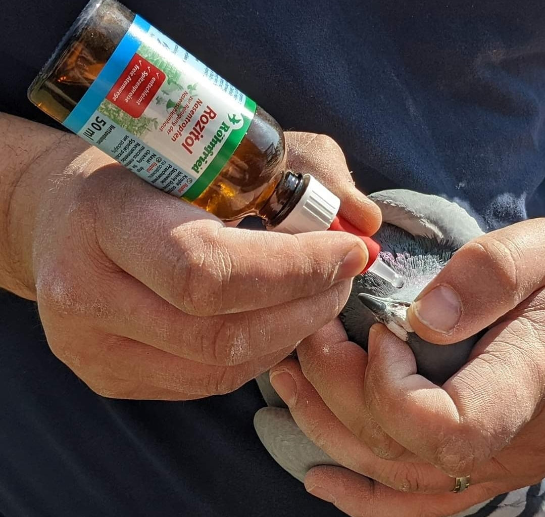 Rohnfried Rozitol druppels 50ml, (te reinigen en te ontsmetten de bovenste luchtwegen)
