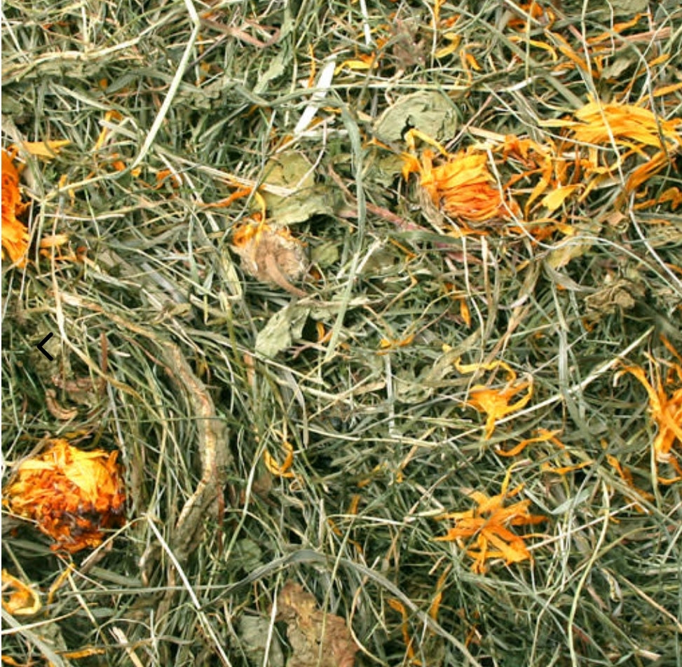 Bloesemhooi paardenbloem 500gram