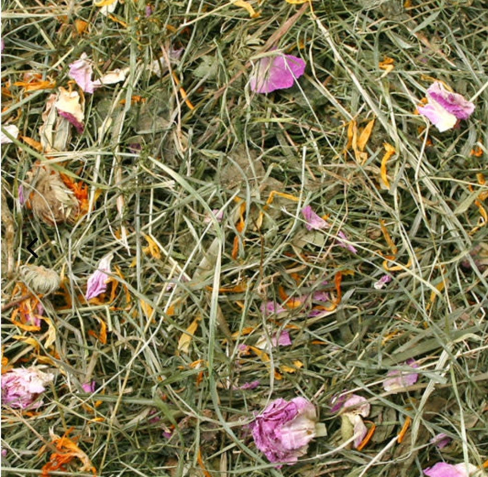 Bloesemhooi zomer bloem 500 gram