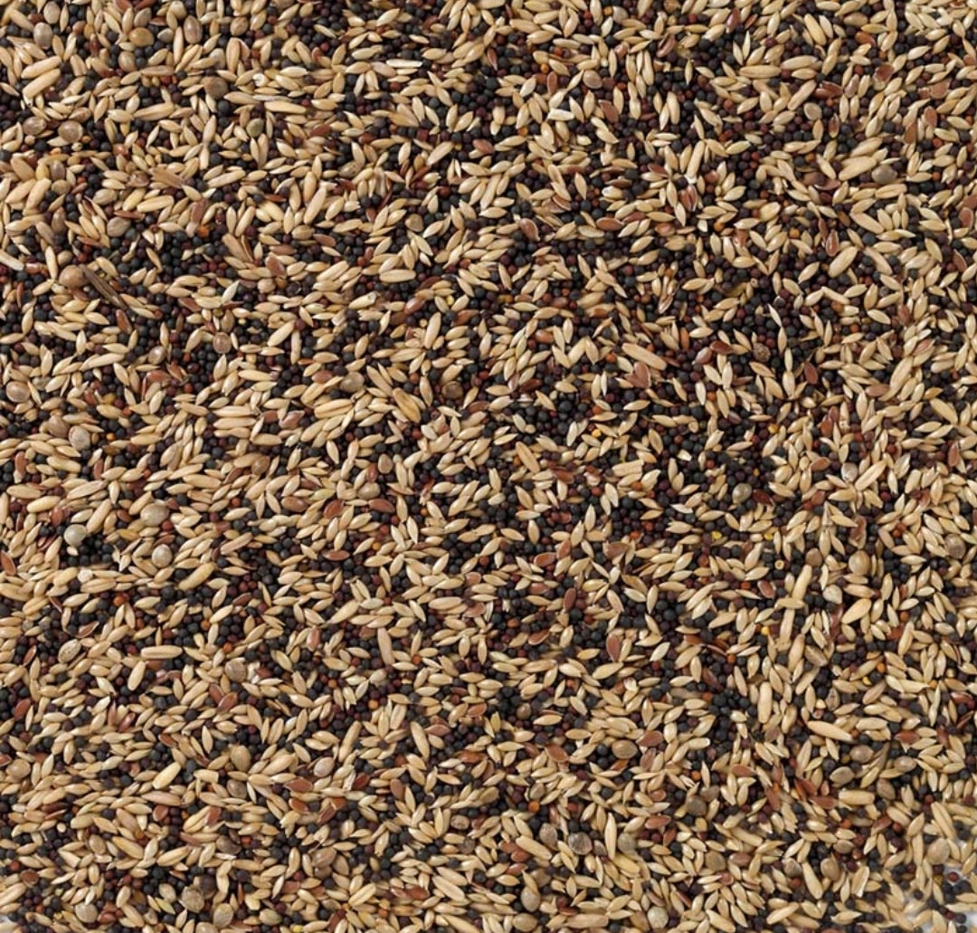 Kanarie standaard - 5kg uitgepond - Vogelvoer