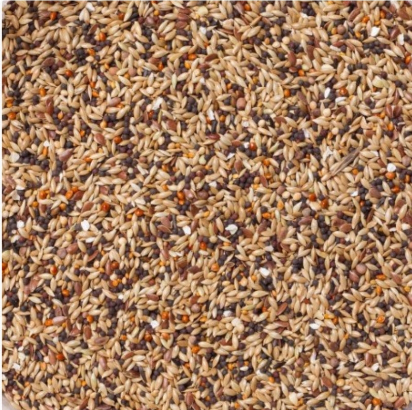 Deli Nature 92 Vinken Sport 20kg