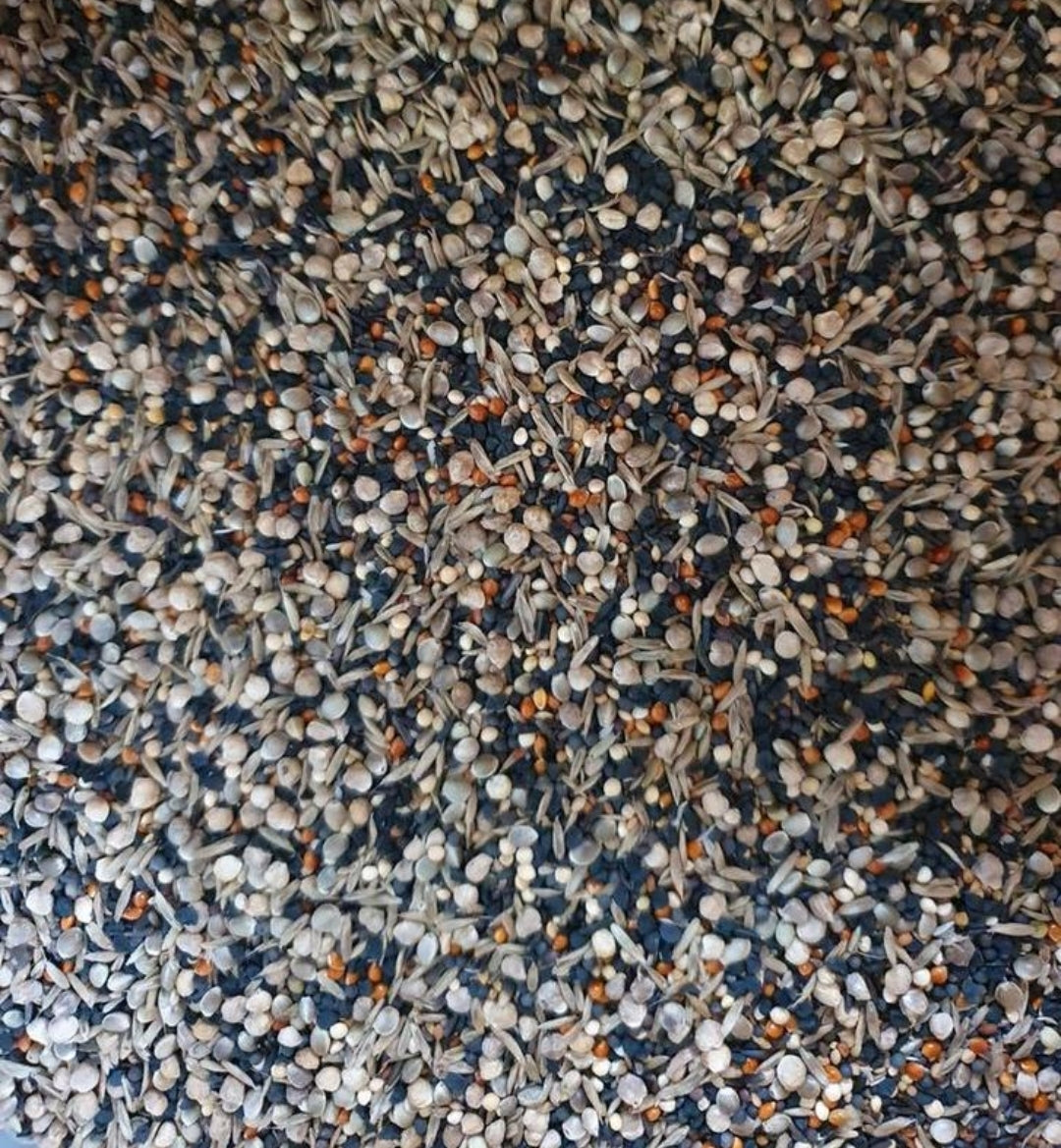 Gezondheidszaden 1kg Duvo+