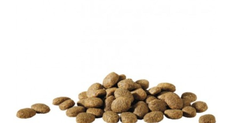 Happy Life Essential 20kg - Basis Droogvoer Voor Volwassen Honden