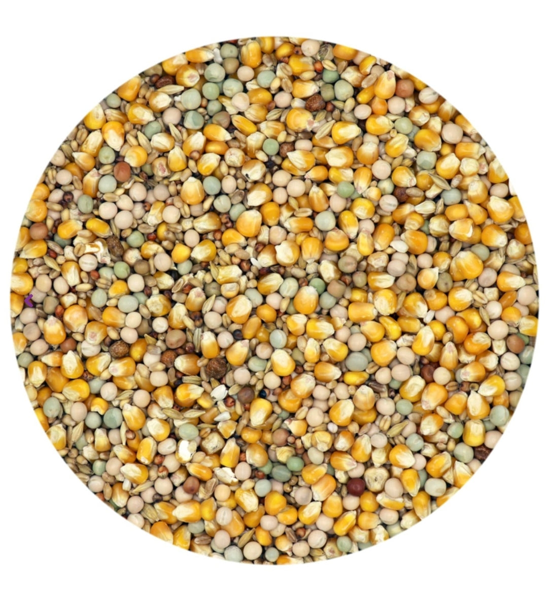 Classic 4 Seizoenen - Duivenvoer - 20 kg - Versele-Laga