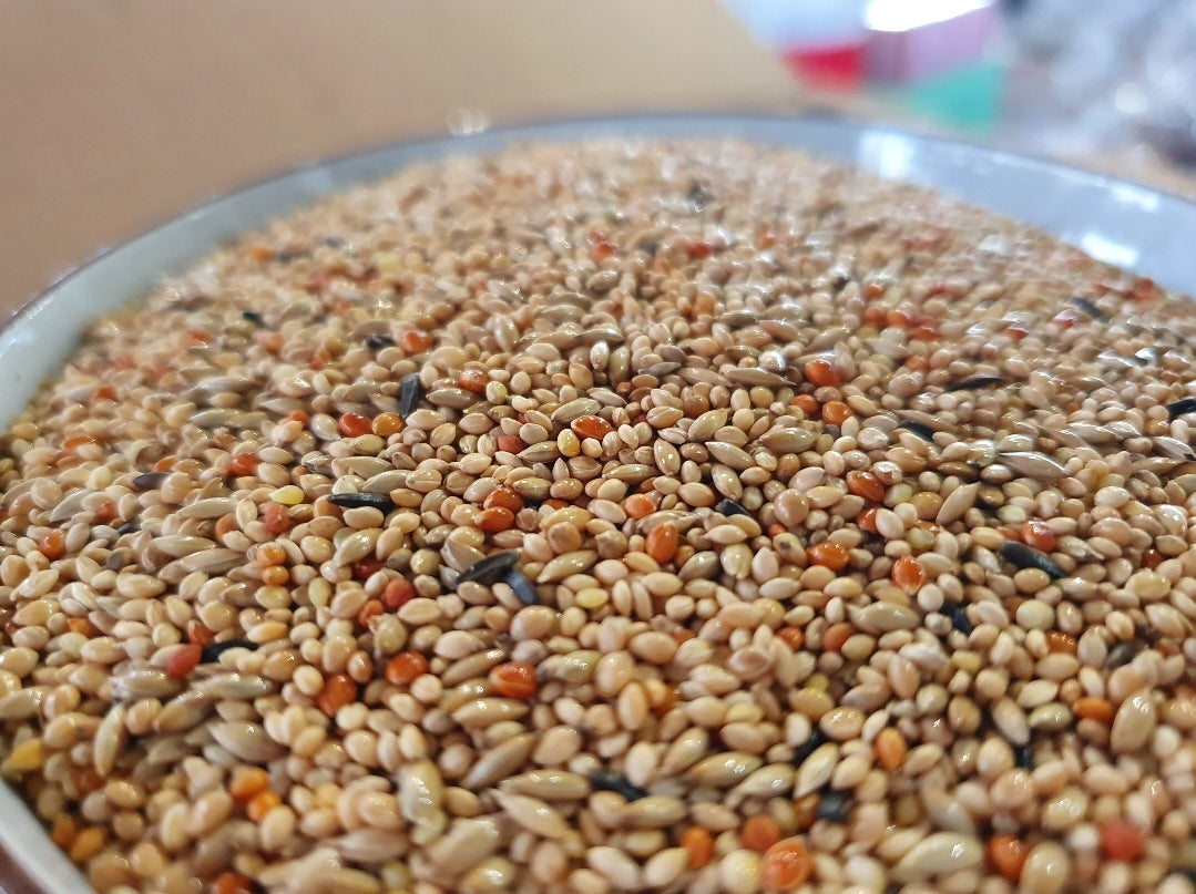 King Exoten Kwaliteit Mengeling 5kg - HobbyFirst