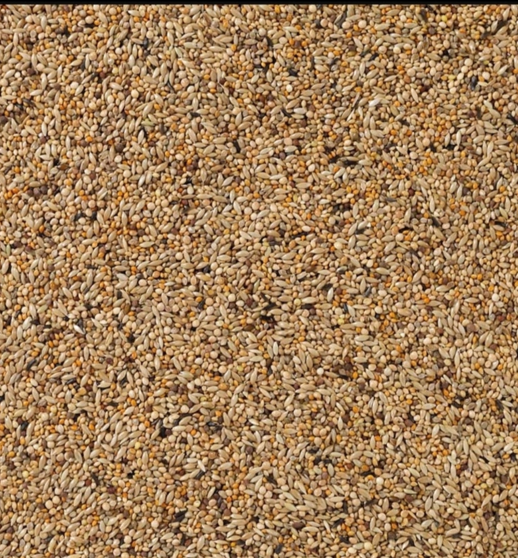 Deli Nature 84 APV Goulds 20kg