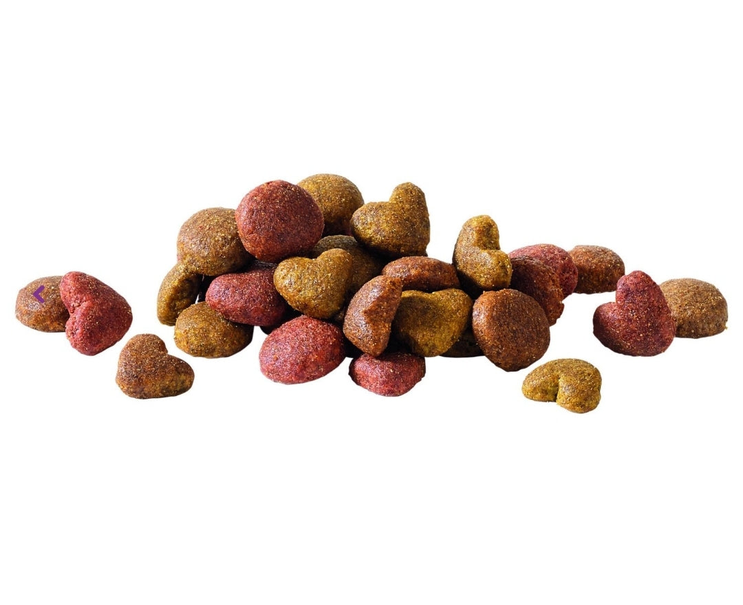 Happy Life Adult Zalm Hondenvoer 3 kg - Versele Laga