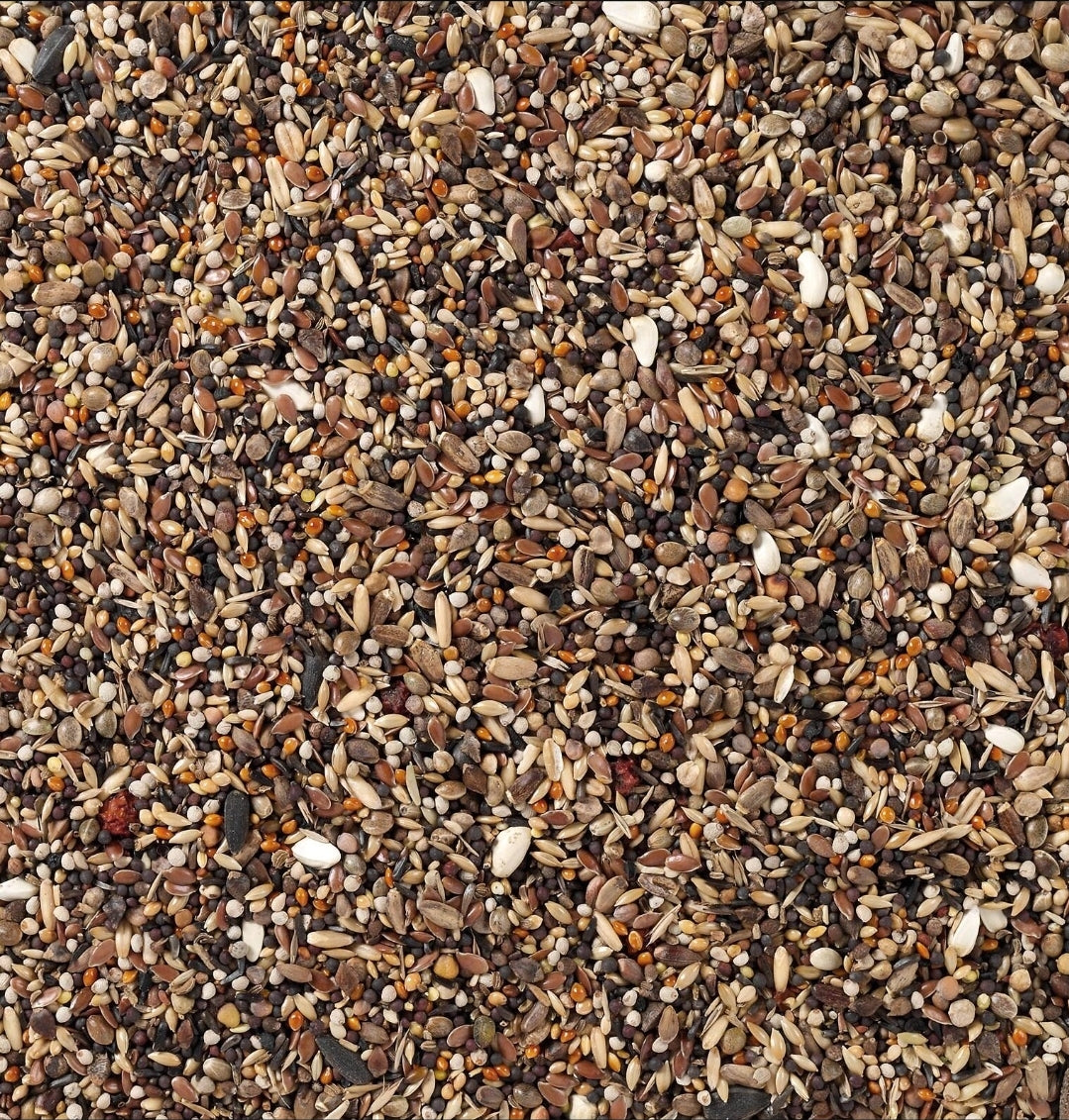 Birdelicious Pyrrhula 2kg, Goudvinken